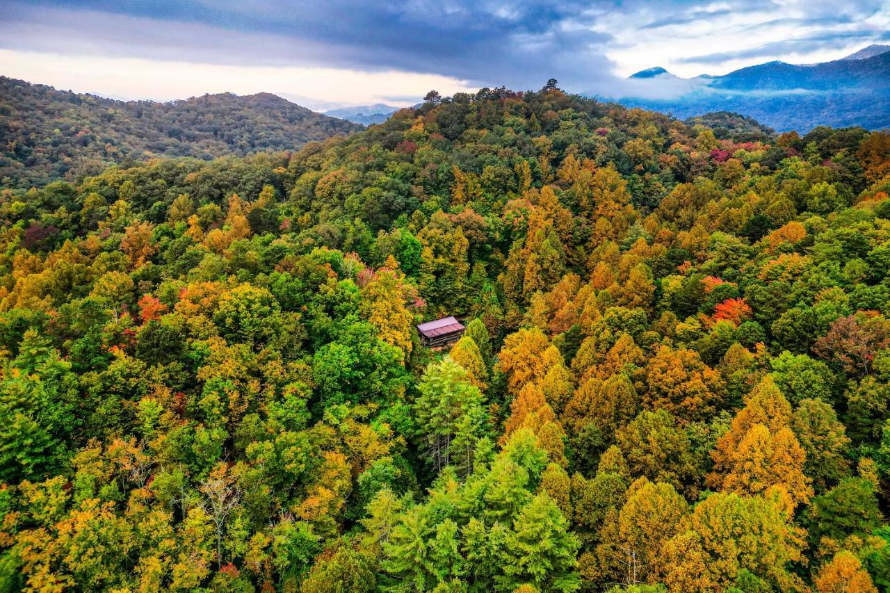 فيلا Brysons Hidden Valley Ranch - Quiet Nc Cabin! مدينة كليرمونت المظهر الخارجي الصورة